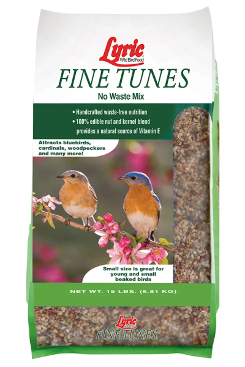 Birding SALE